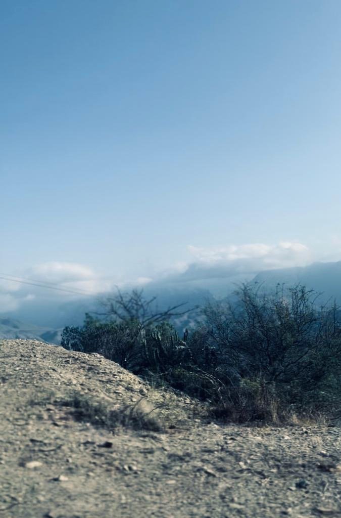 Sierra Gorda Bioreserve#© Marcus Wiley