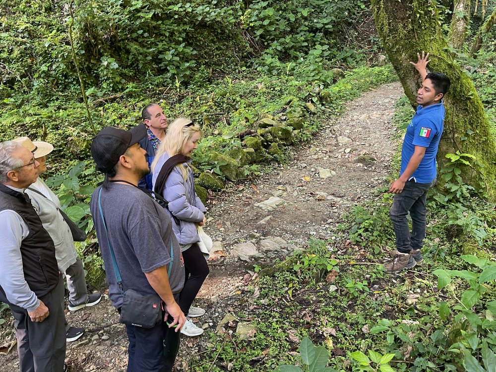 Cascada Los Comales Xilitla#© TWT LLC