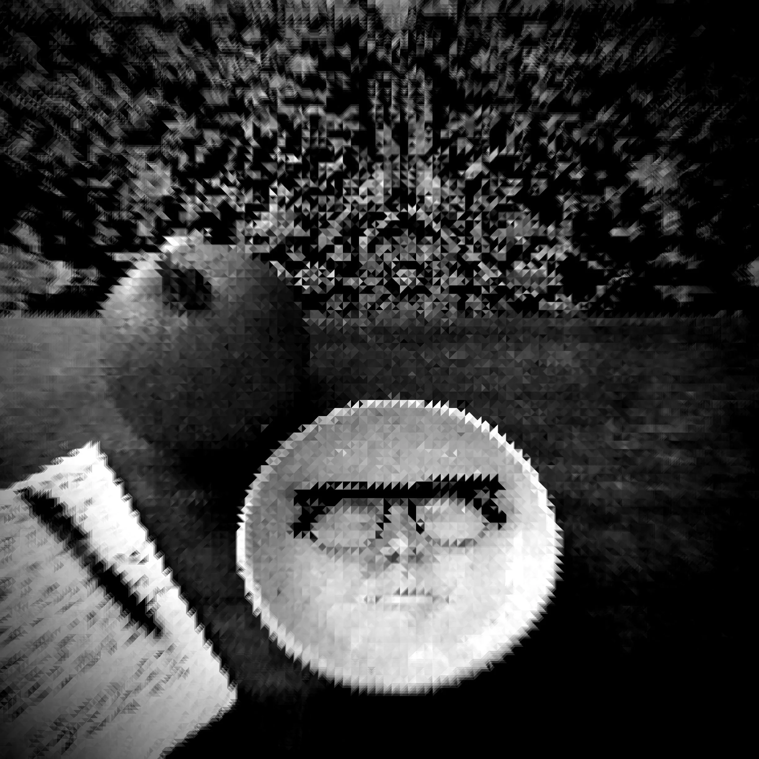 Shadow Work Album Cover99.jpg