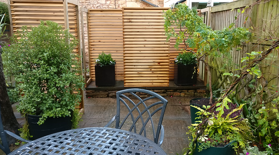 Rear Patio Garden