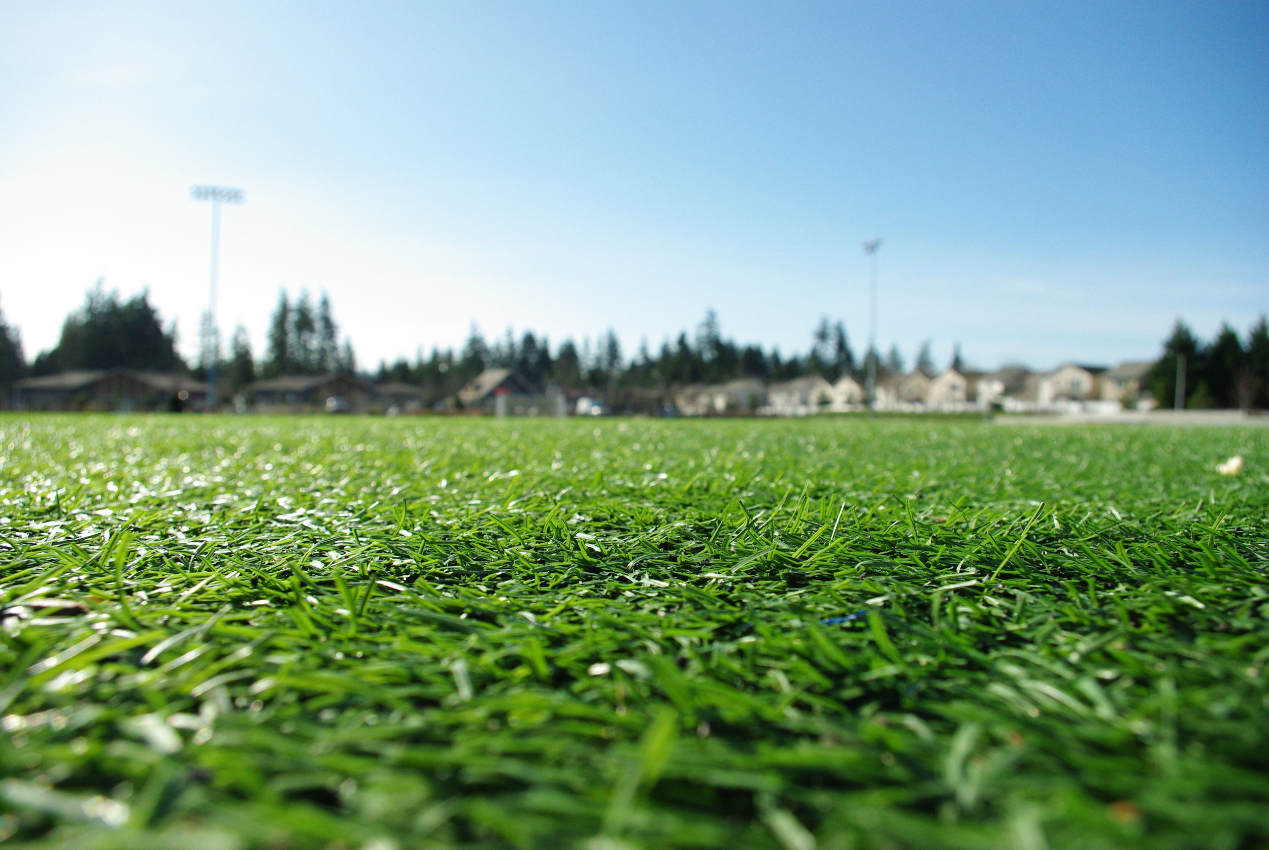 FieldTurf_at_53rd_Avenue_Park_-_Hillsboro_Oregon.jpg