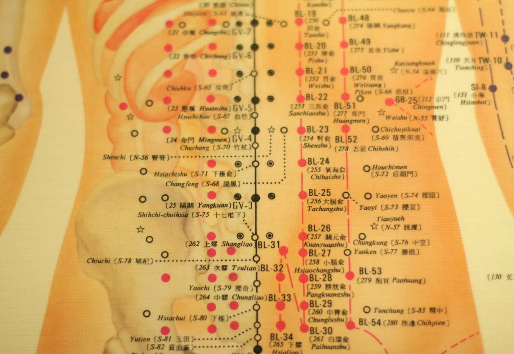 Women's Acupuncture at Empress Acupuncture in Richmond, VA
