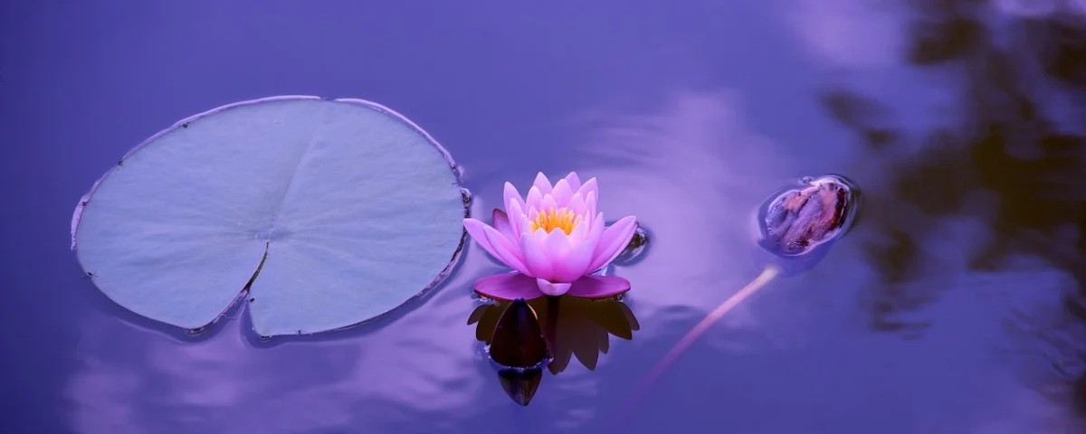 acupuncture-treatments-for-infertility-blog-richmond-virginia.jpg