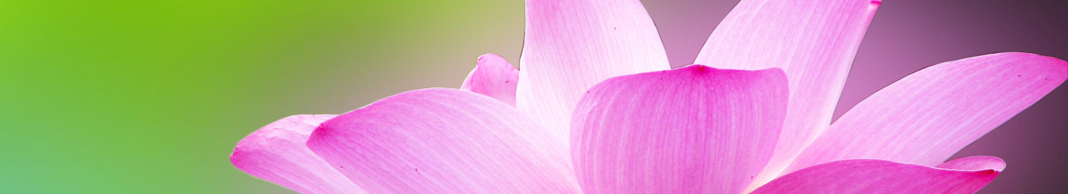 how-fertility-acupuncture-helps-women-men-empress-acupuncture-richmond-va.png
