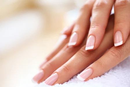 manicured-hands-french1.jpg