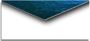 Screen Shot 2018-12-14 at 3.26.15 PM.png