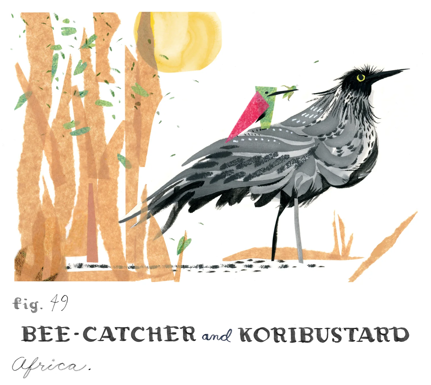 beecatcherkoribustard.jpg