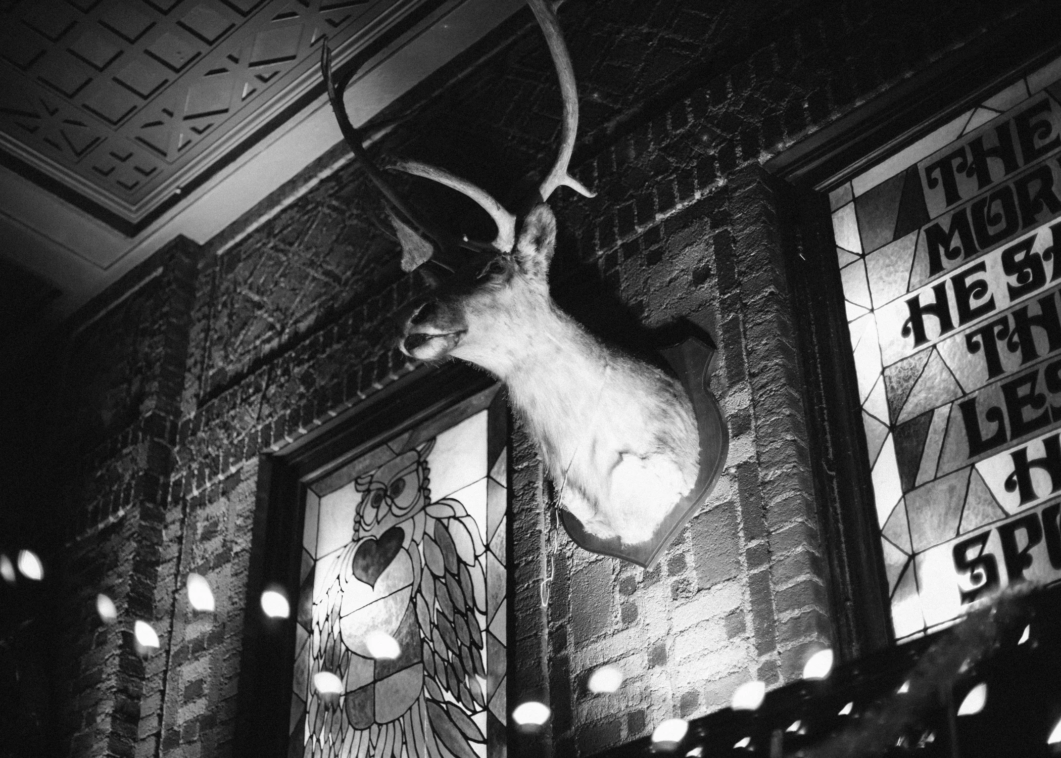 _MG_8799_bw.jpg