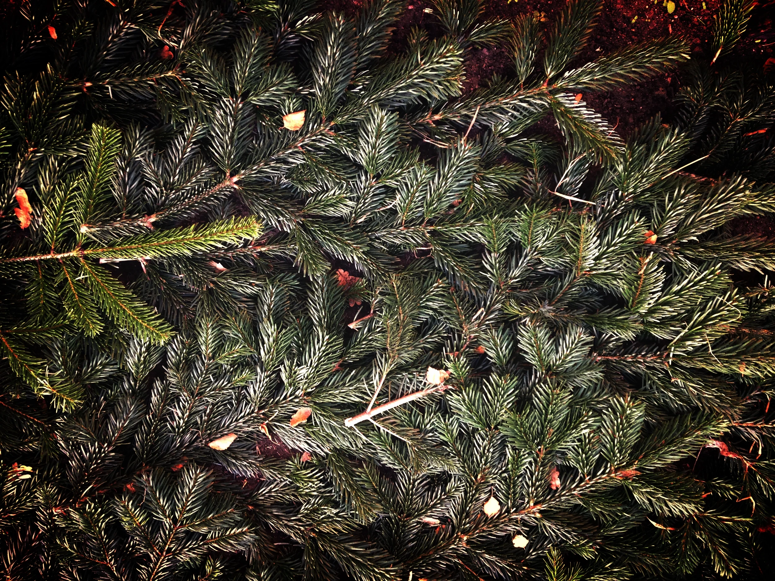 Christmas gift ideas for the artistic ones