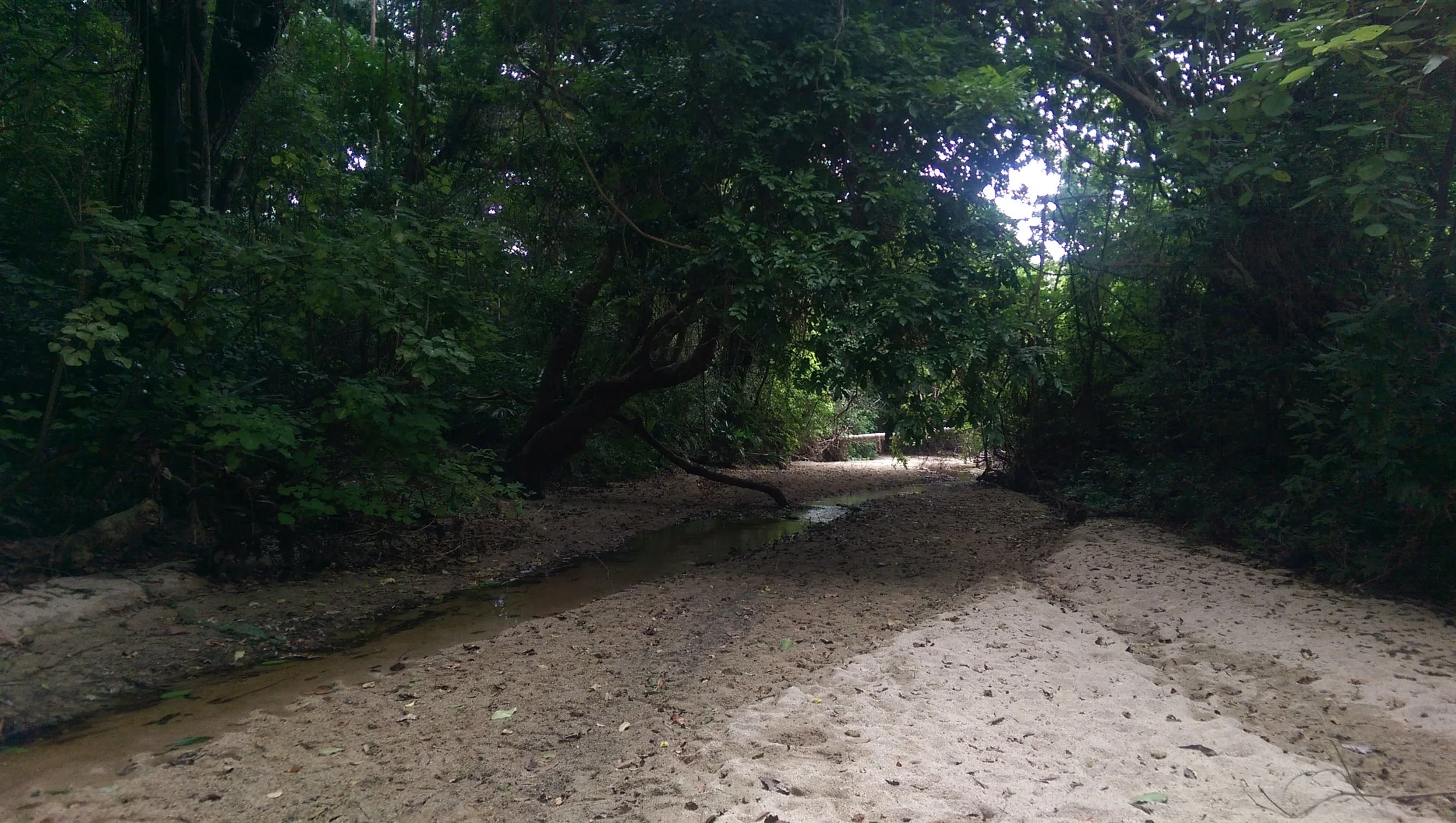 National Park Tayrona - Magdalena
