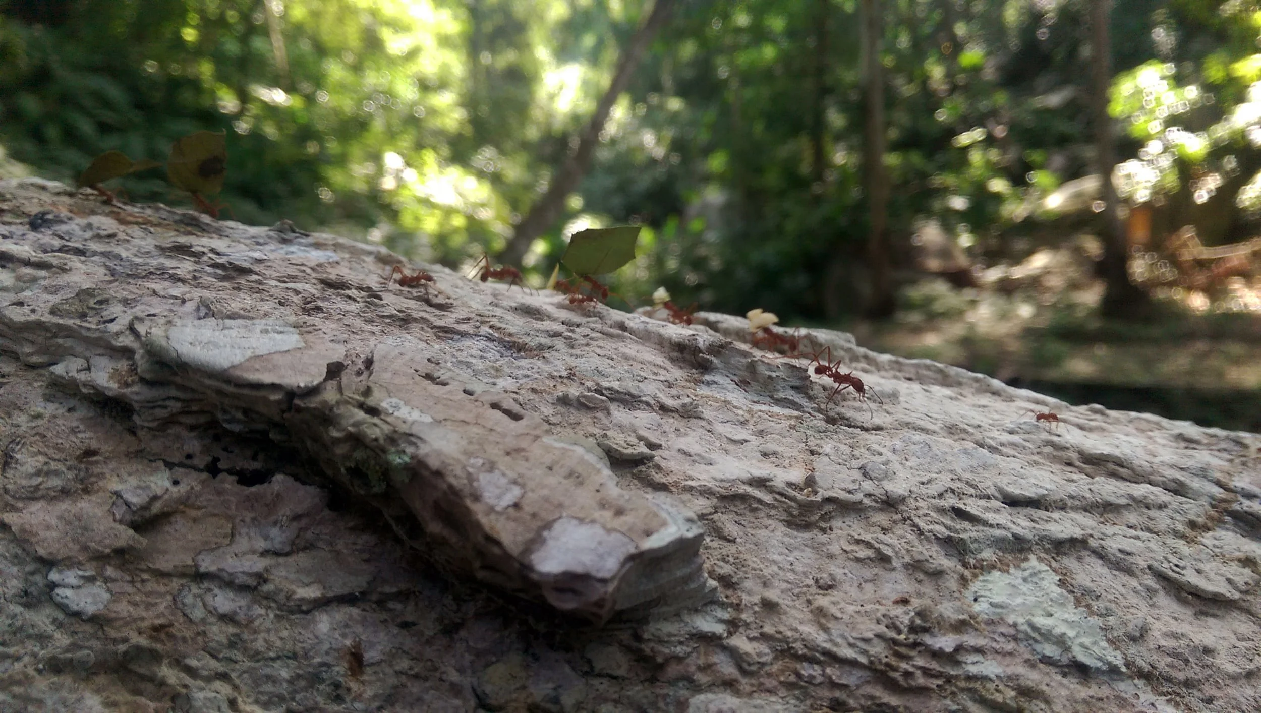 National Park Tayrona - Magdalena, Colombia