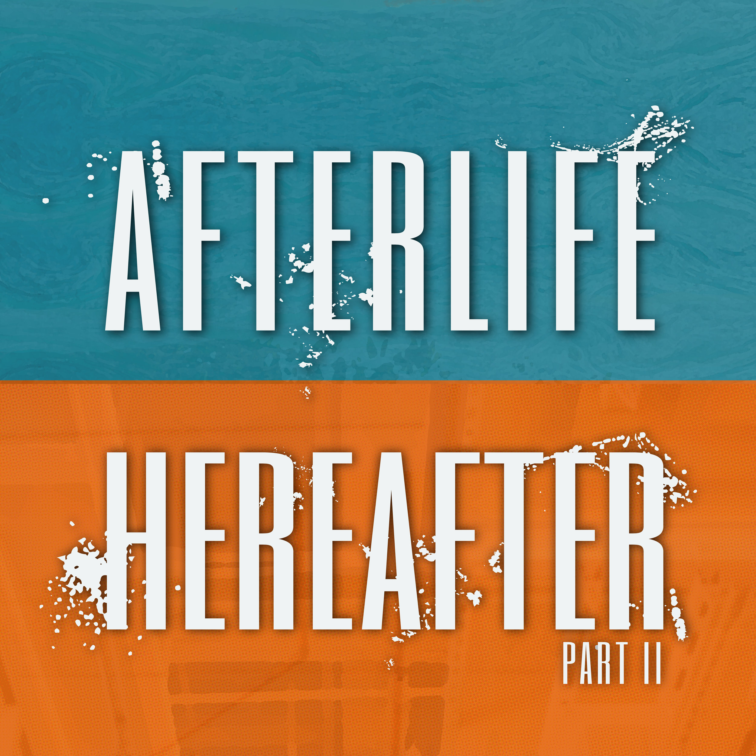 AfterlifeSeries_Doublelogo.jpg