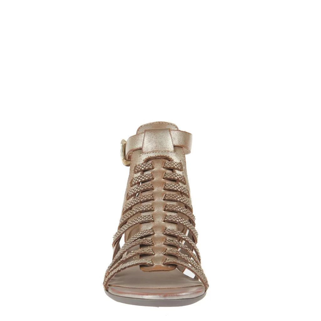 azika.gold.front.1024.jpg