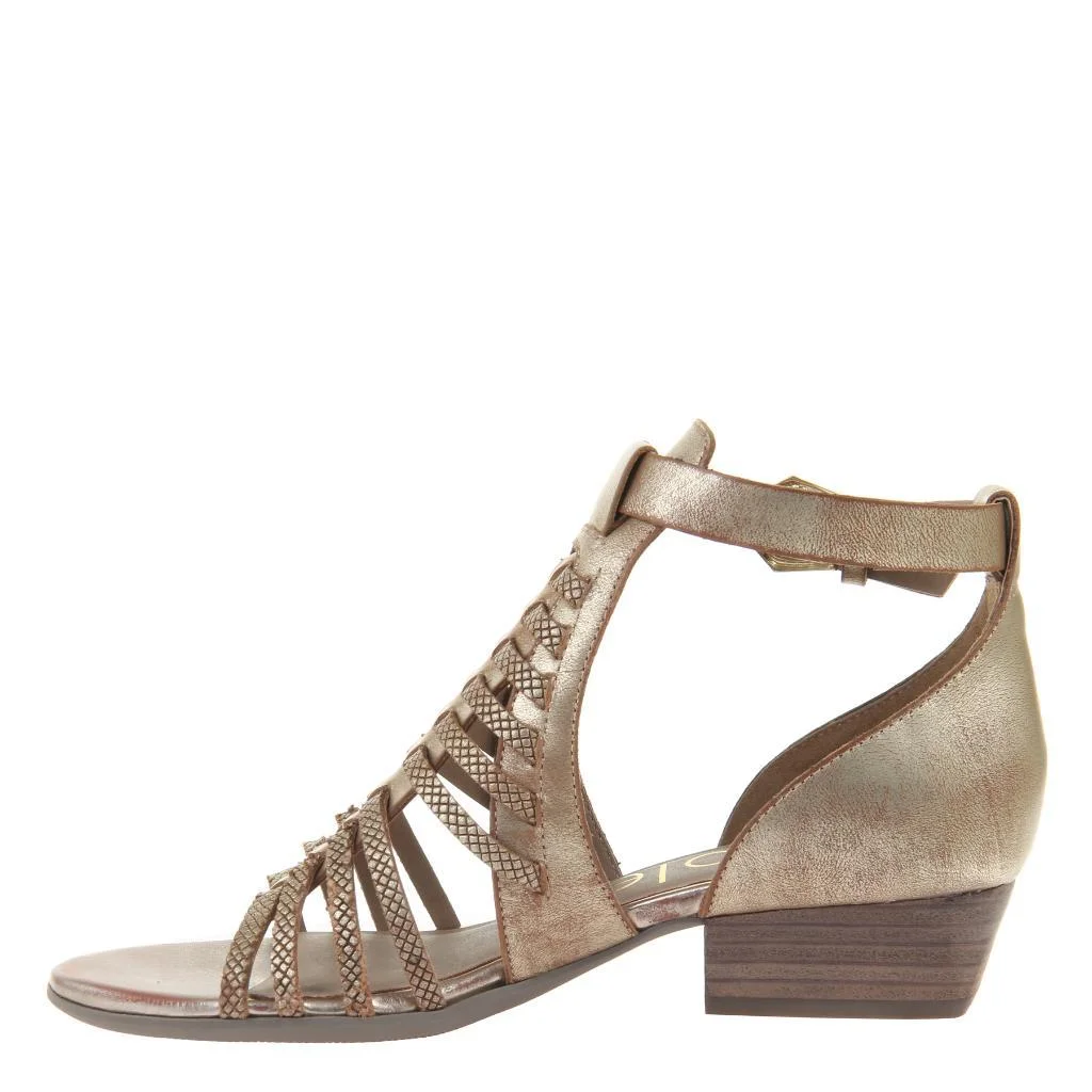 azika.gold.left.1024.jpg