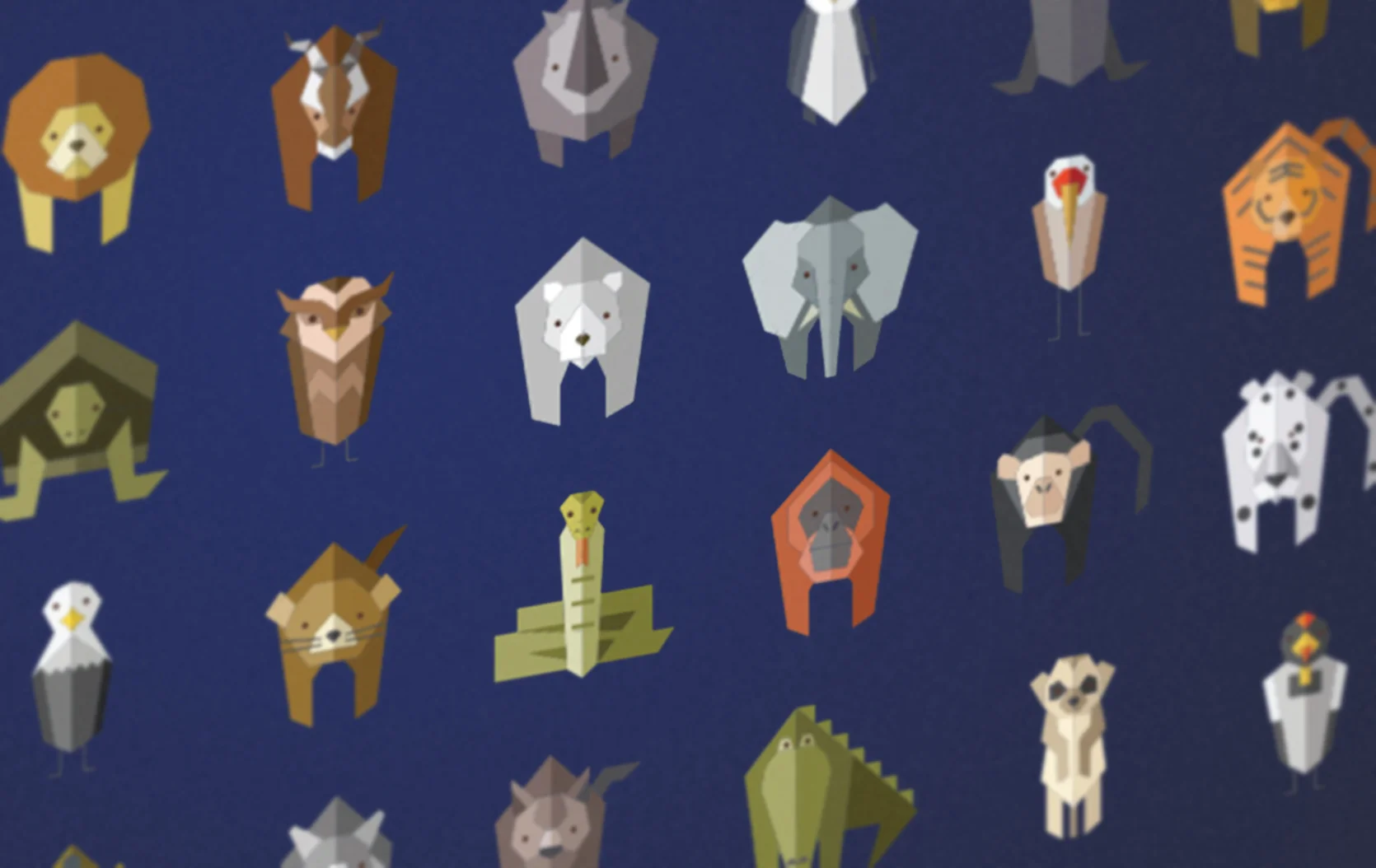 47flat_by_studio4 copy.jpg