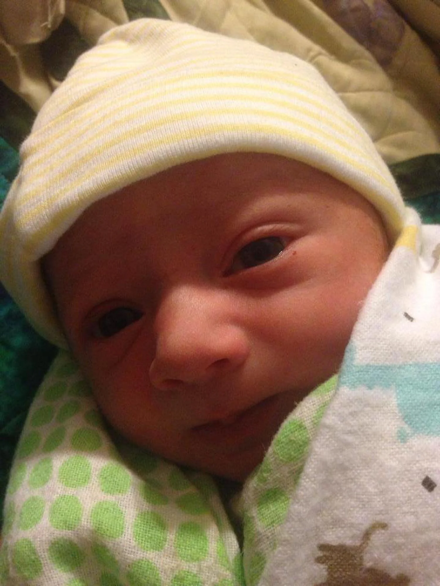 201410_Seamus.jpg