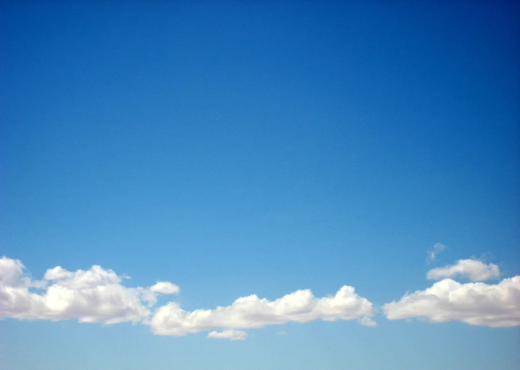 464442670_8d18346296_b.jpg