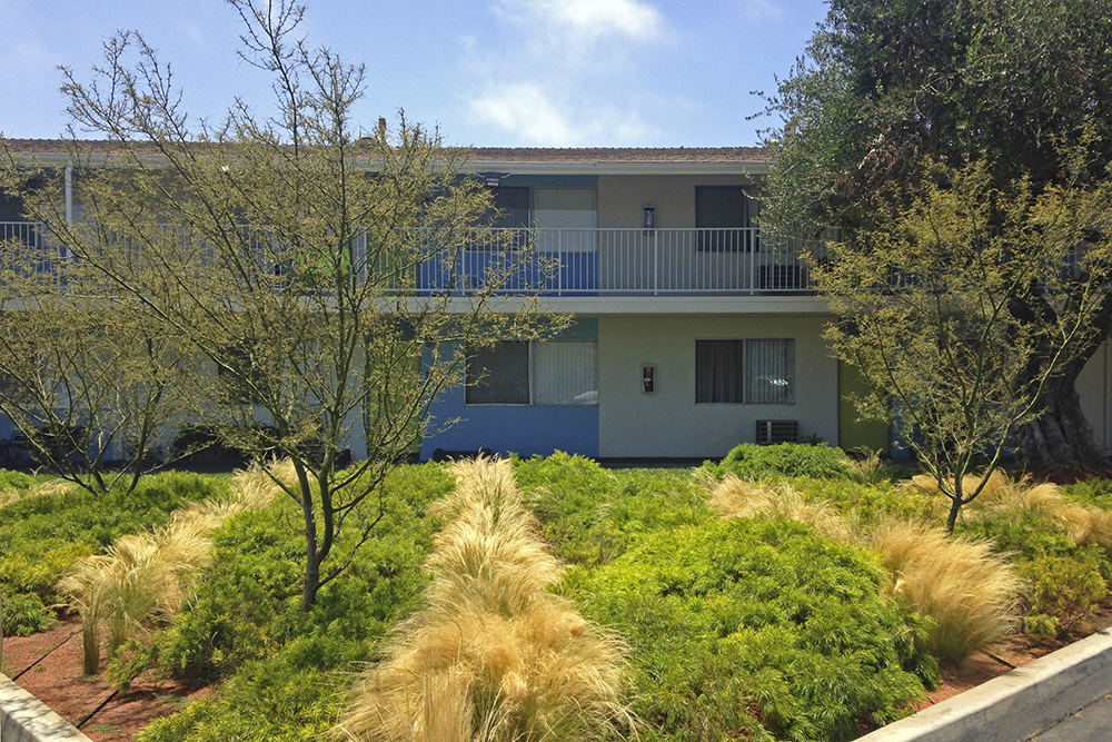 Alvista Long Beach — ZFREEDMAN LANDSCAPE ARCHITECTURE