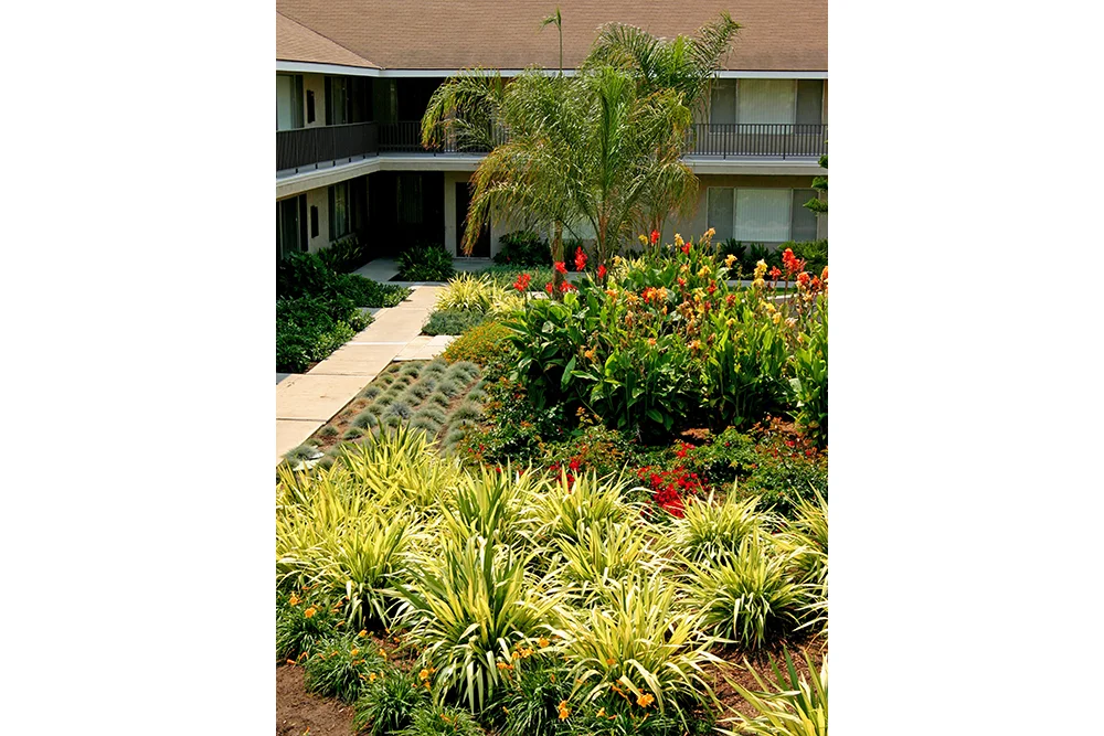 ZFREEDMAN_Ventura_tropical hillc.jpg