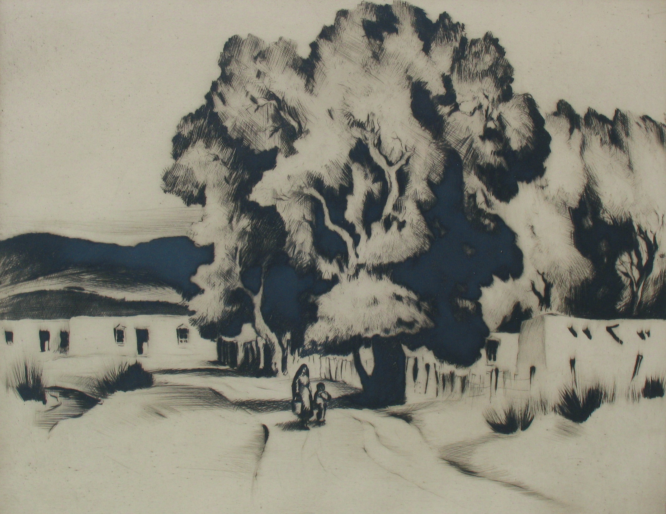Summer Cottonwoods
