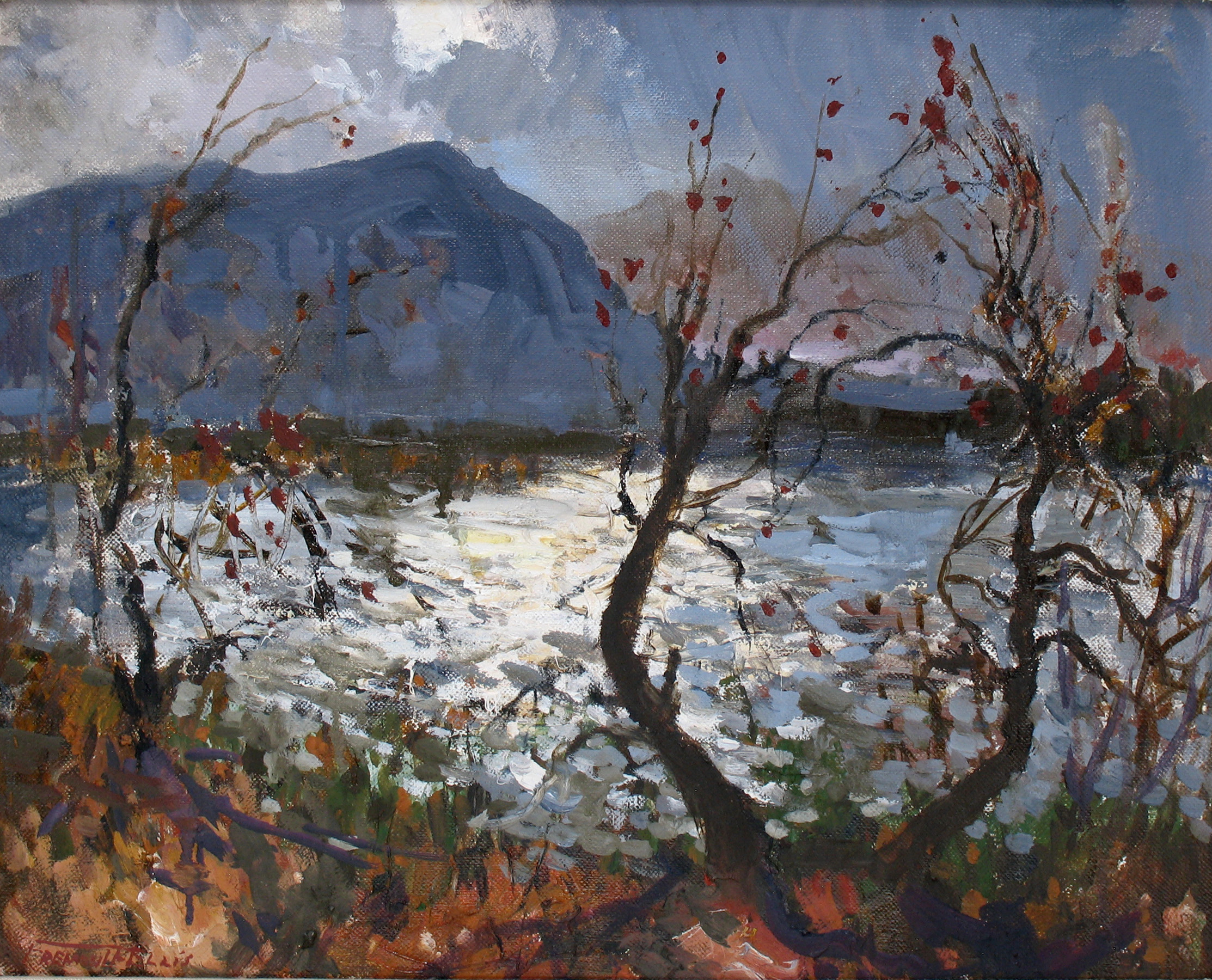 Storm Over the Colorado