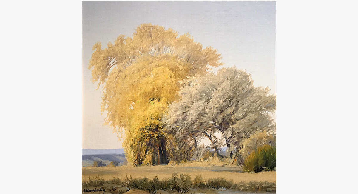 November Cottonwoods At Algodones