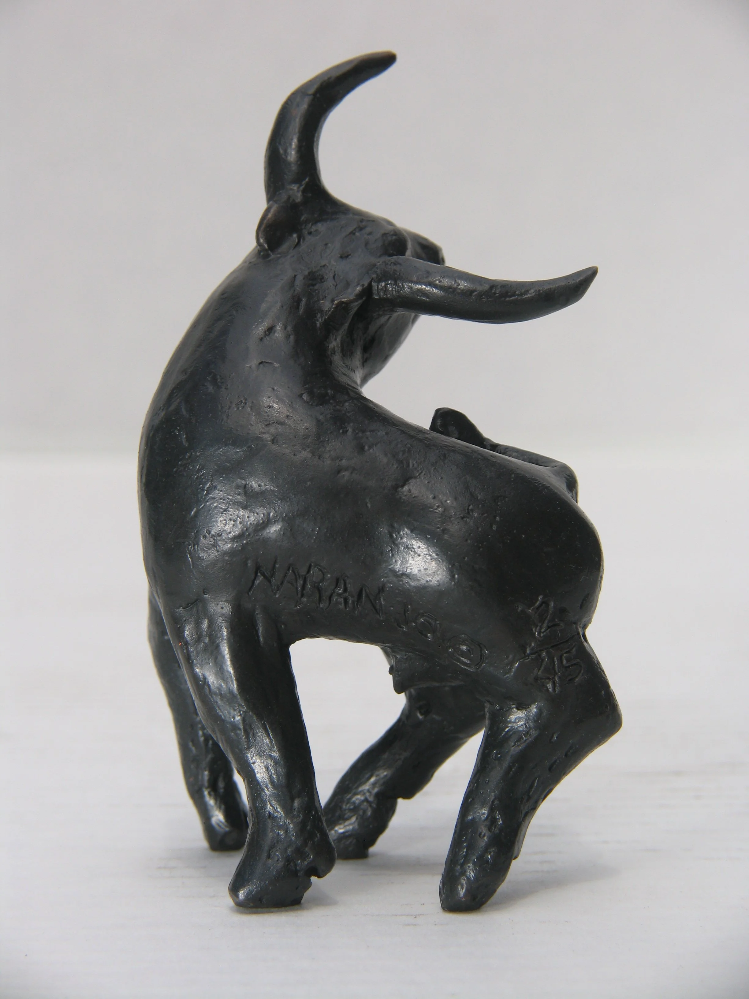 Naranjo- Torito 2.JPG