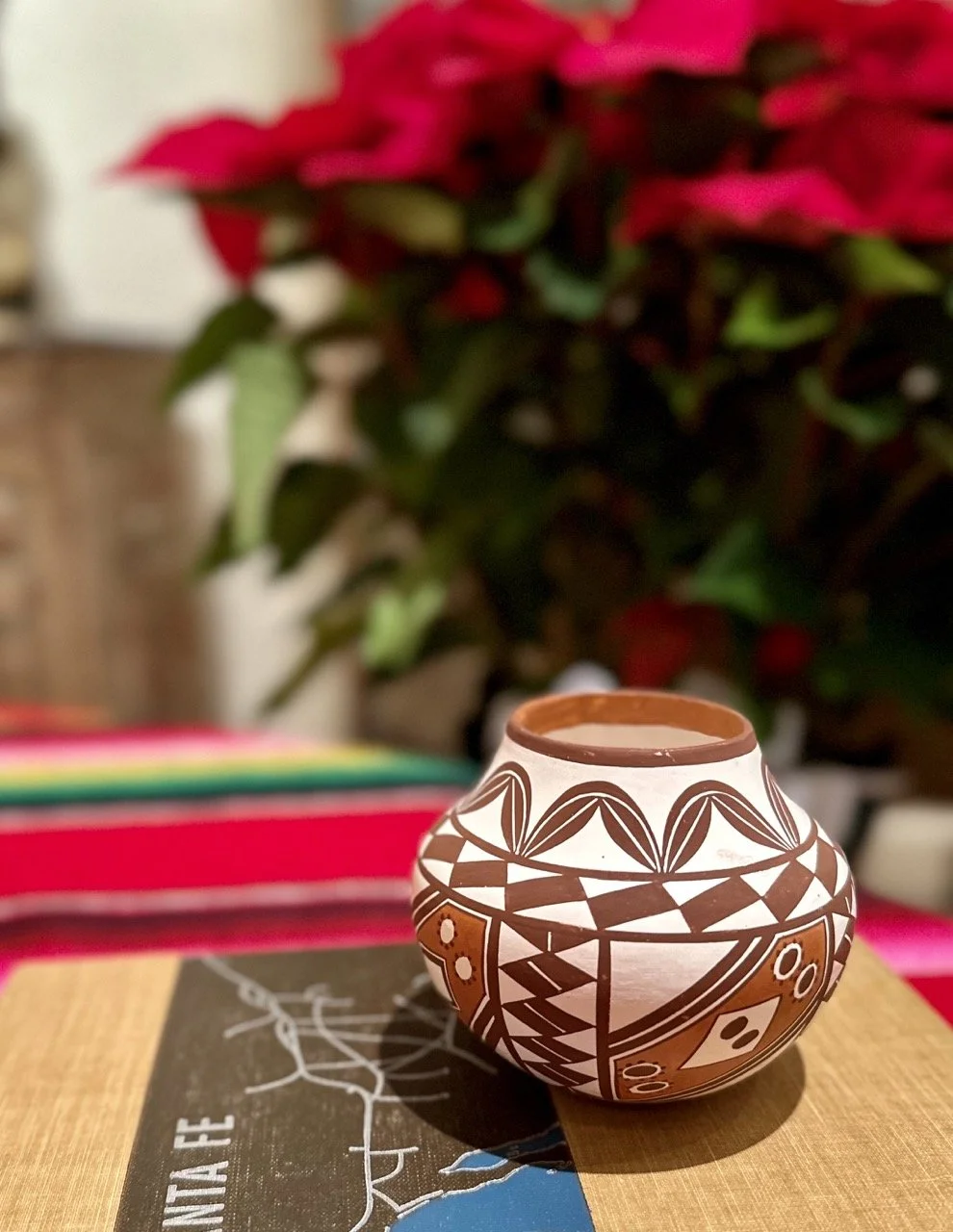 Acoma Polychrome Pot.jpeg