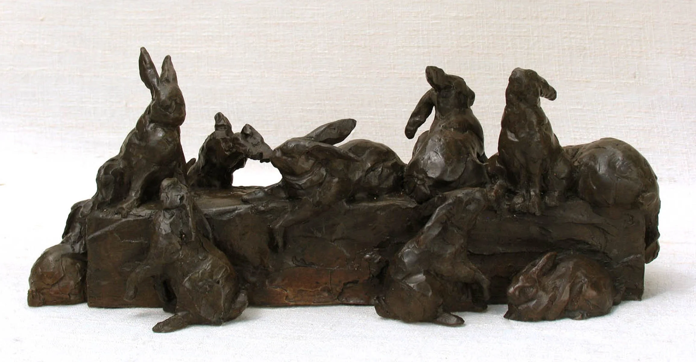 A Good Hare Day