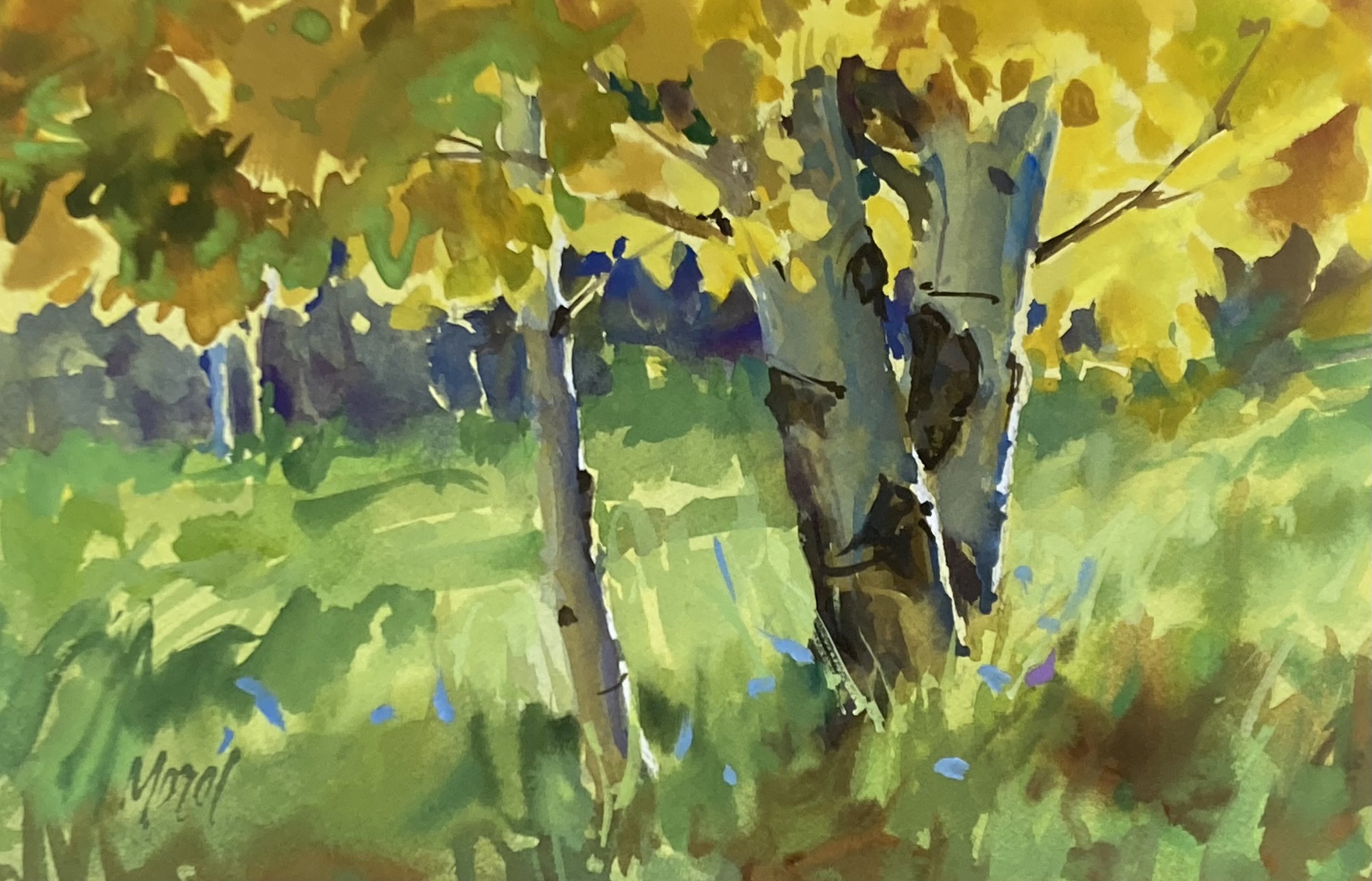 Aspens