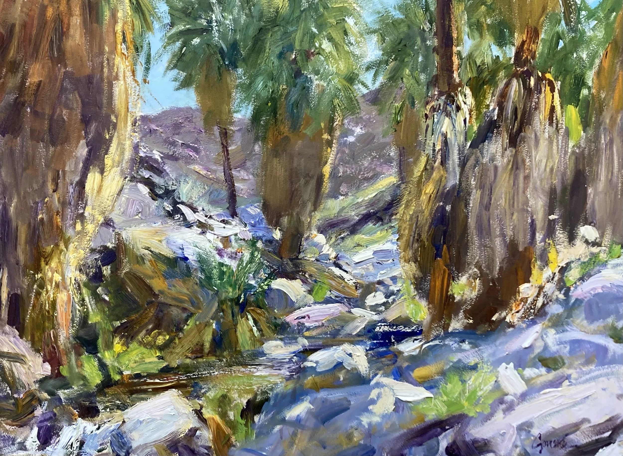 Palm Canyon at Split Rock