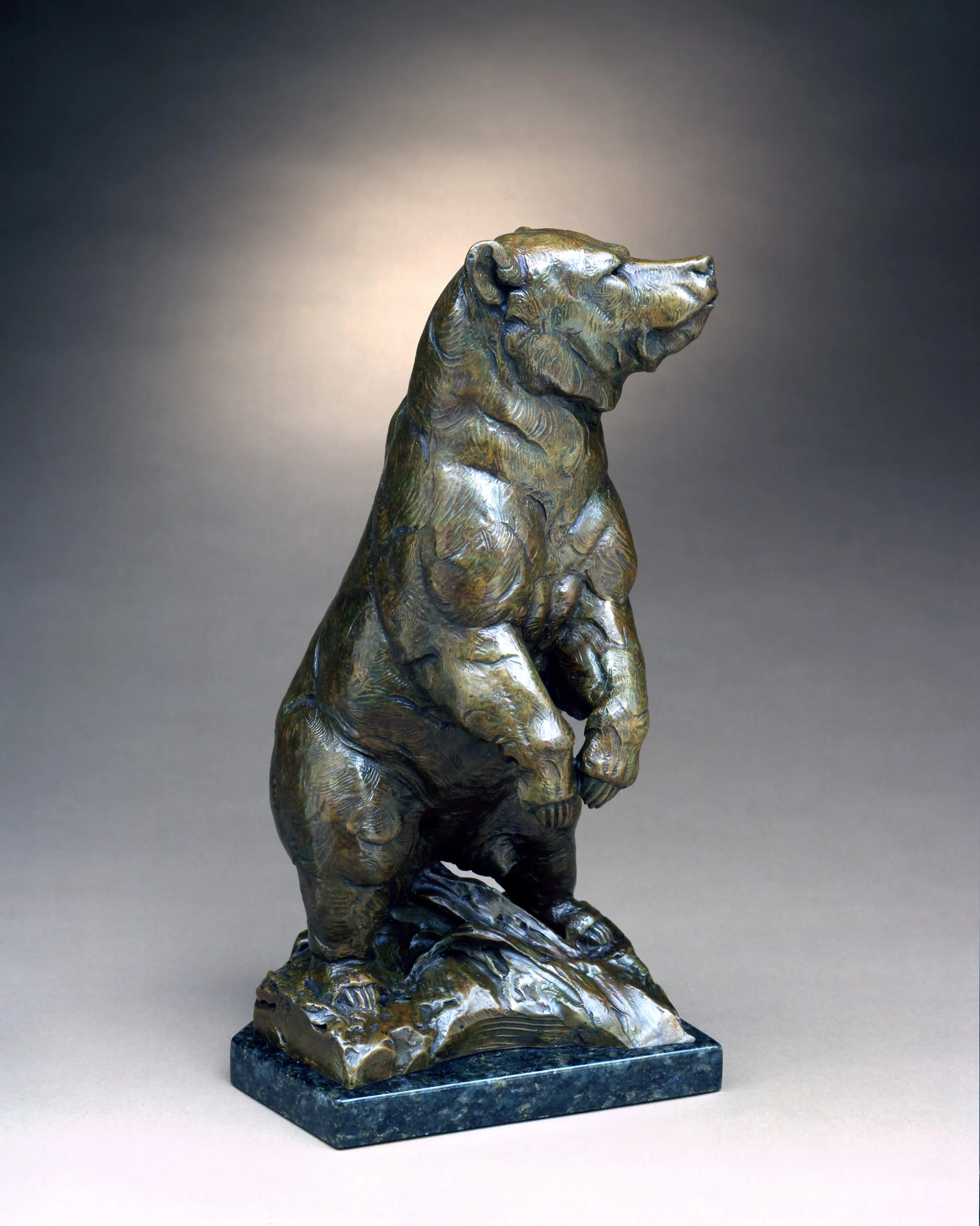   Dan Ostemiiller  -  Ursus Rising  