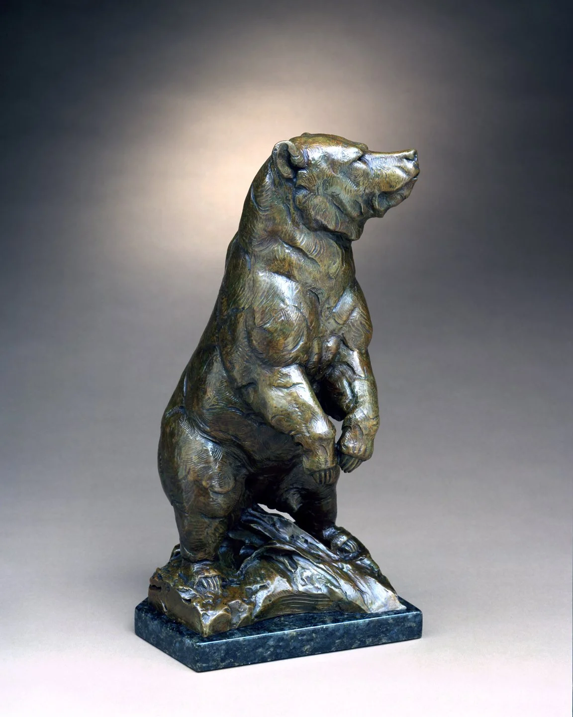 Ursus Rising