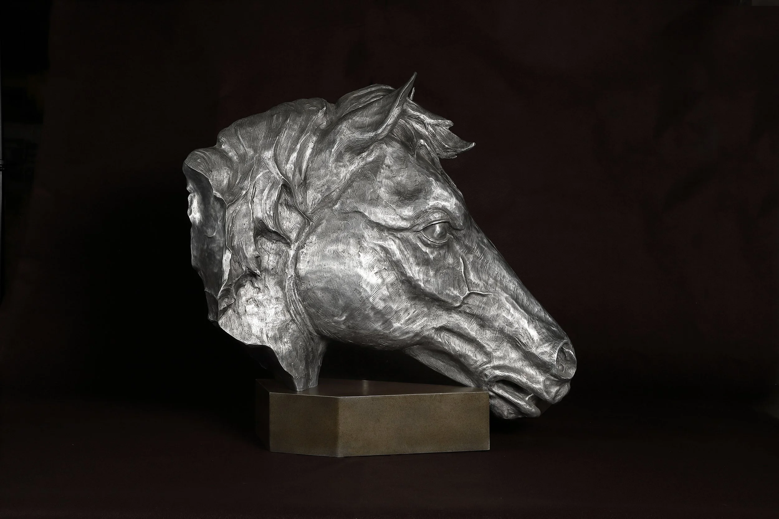 Equine Fragment