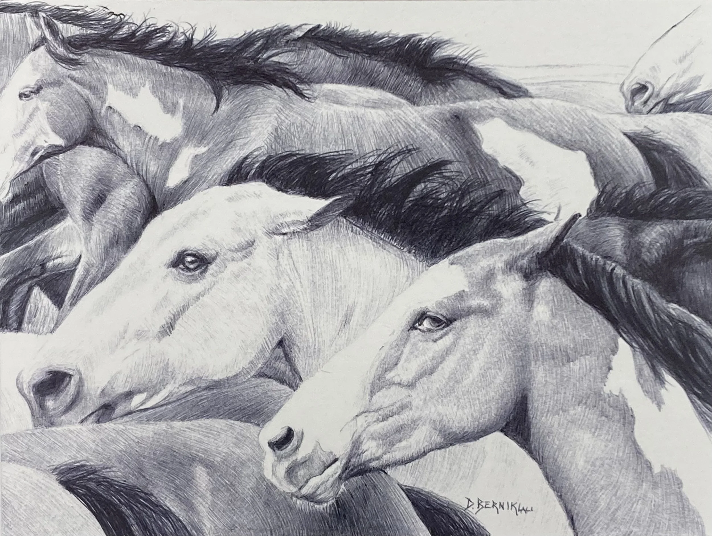 Horses Running Free