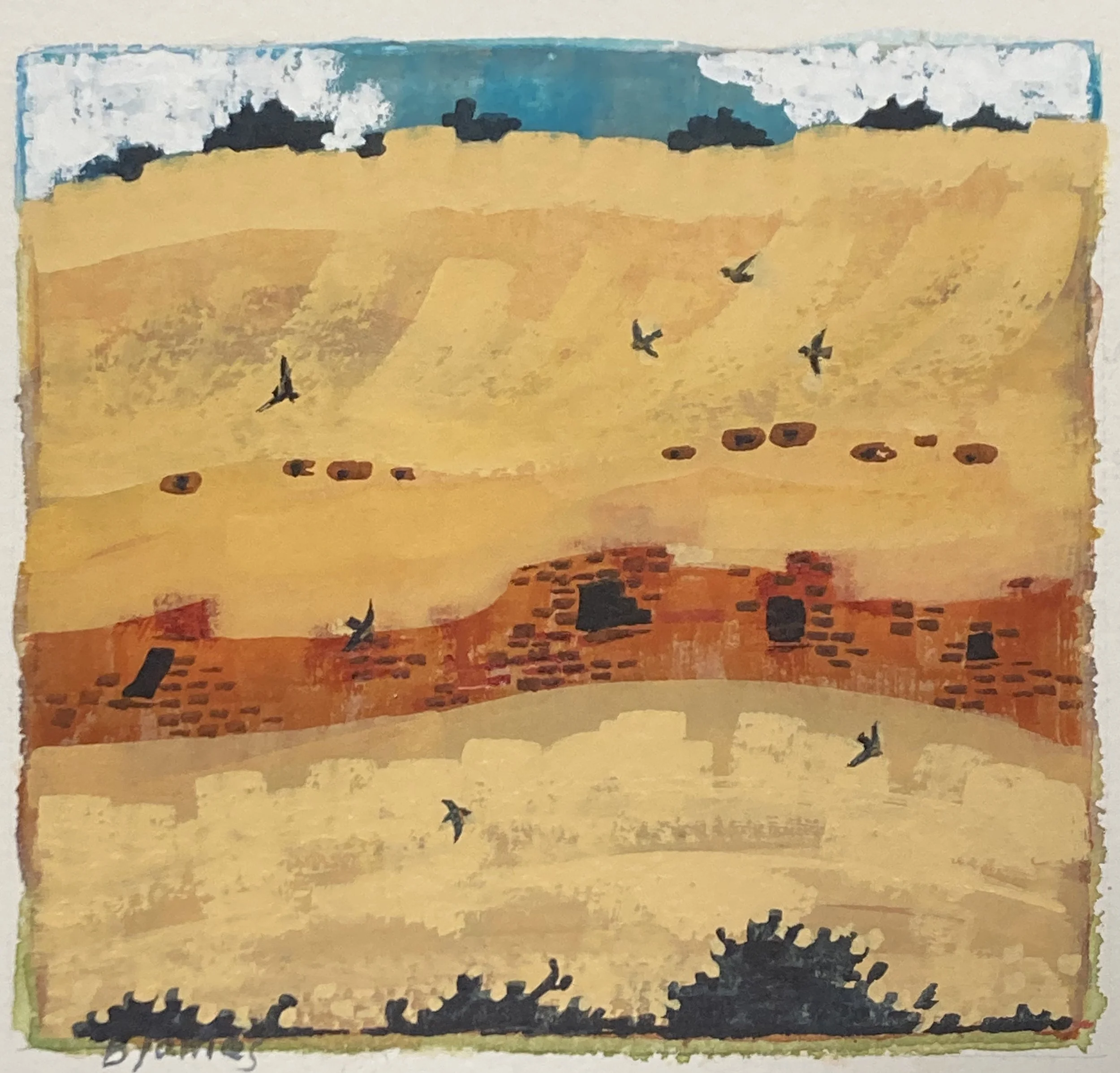 Cliff Dwelling: Swallows