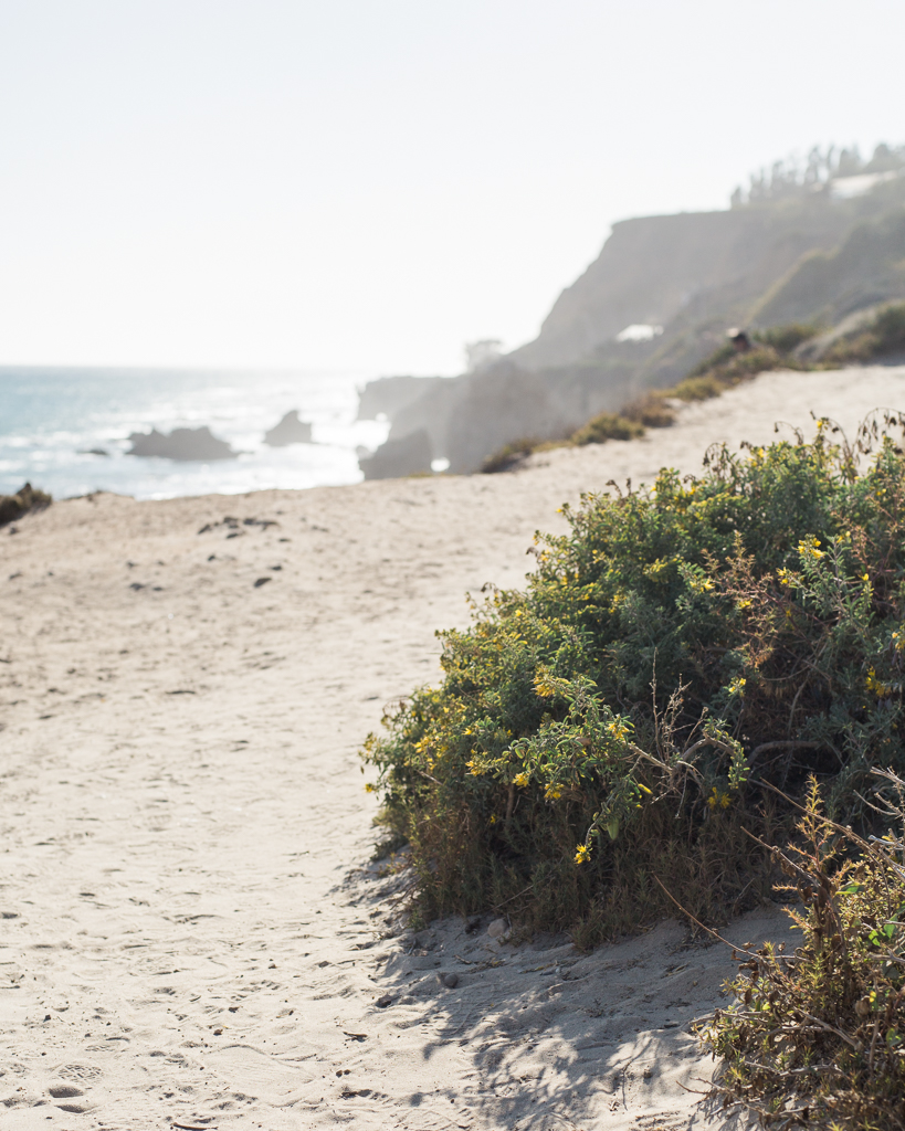 El-Metador-Beach-Engagement-Session-in-Malibu17.jpg