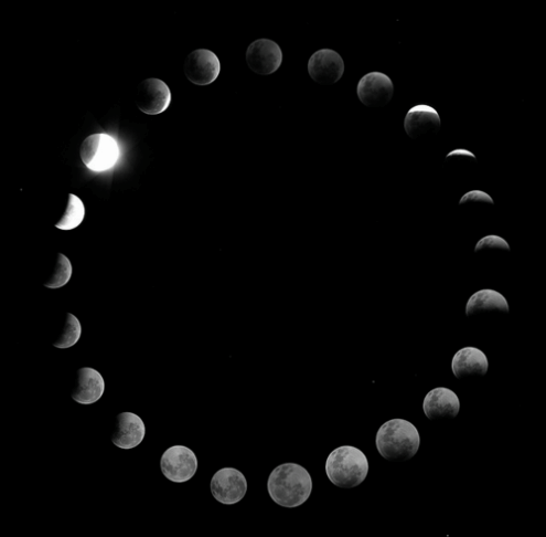 721a41c66fe8bdafdf3bc49560c6914c.gif