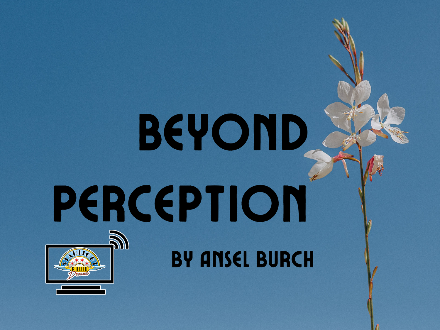 Starlight Radio Dreams