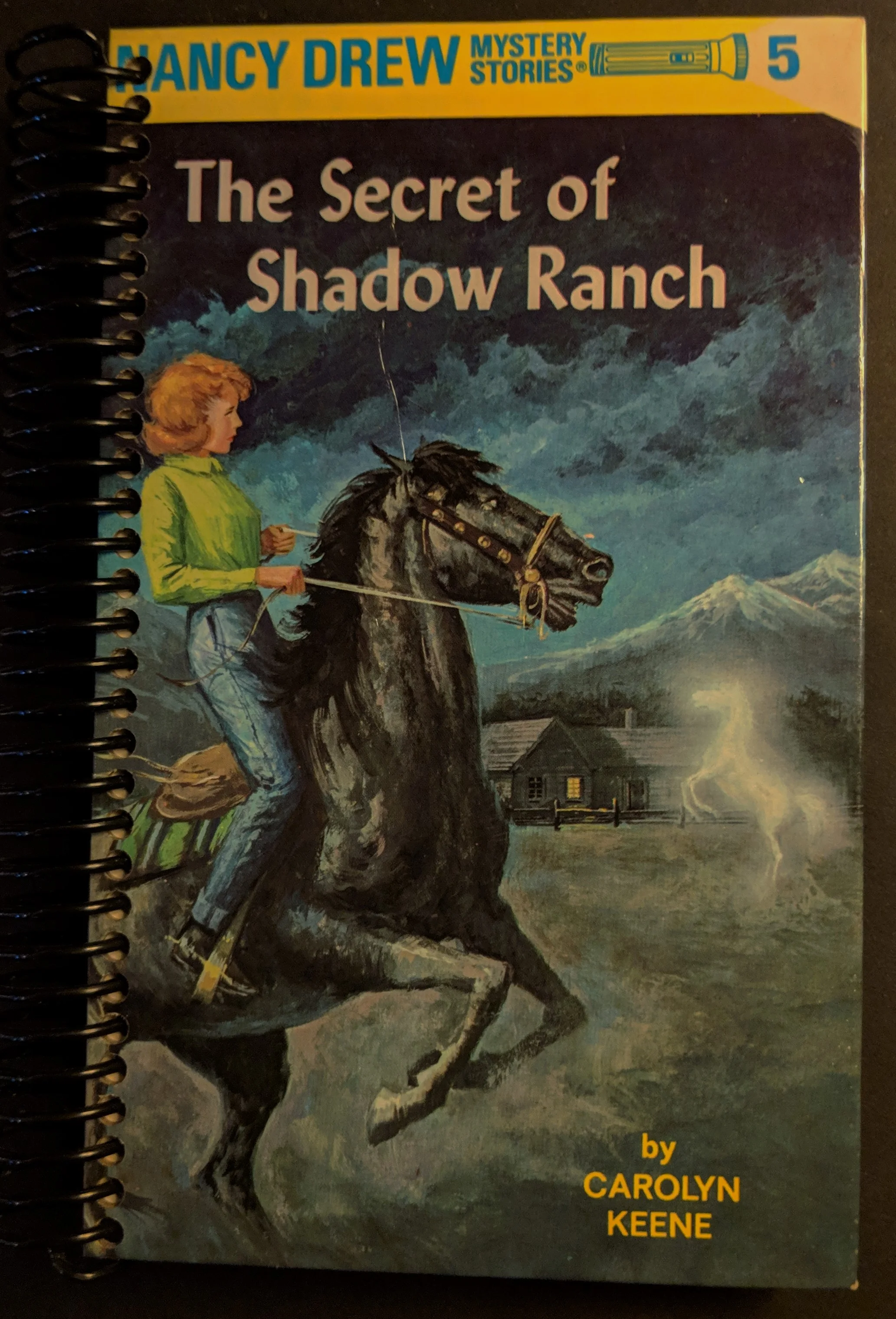 SECRET OF SHADOW RANCH.jpg