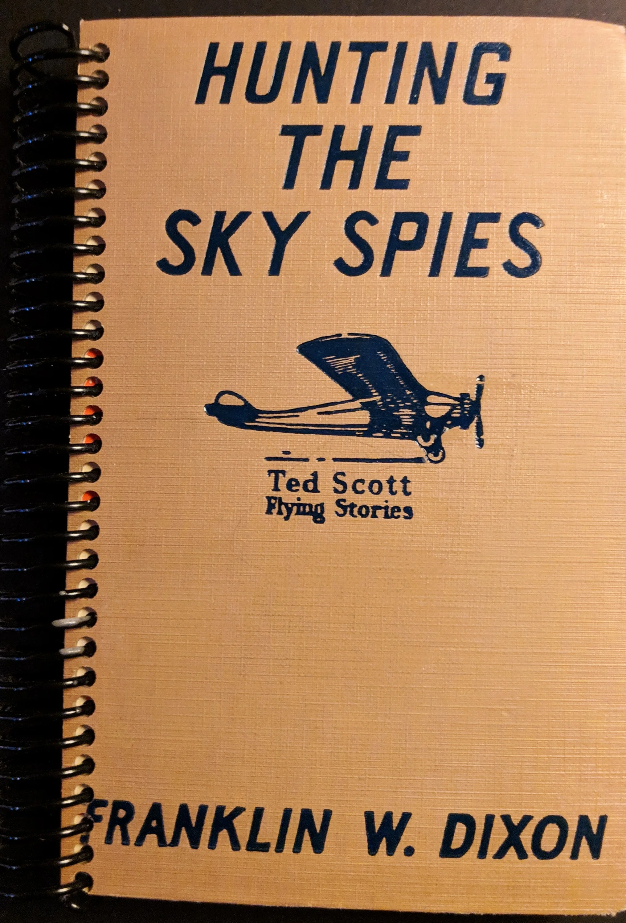 HUNTING THE SKY SPIES.jpg