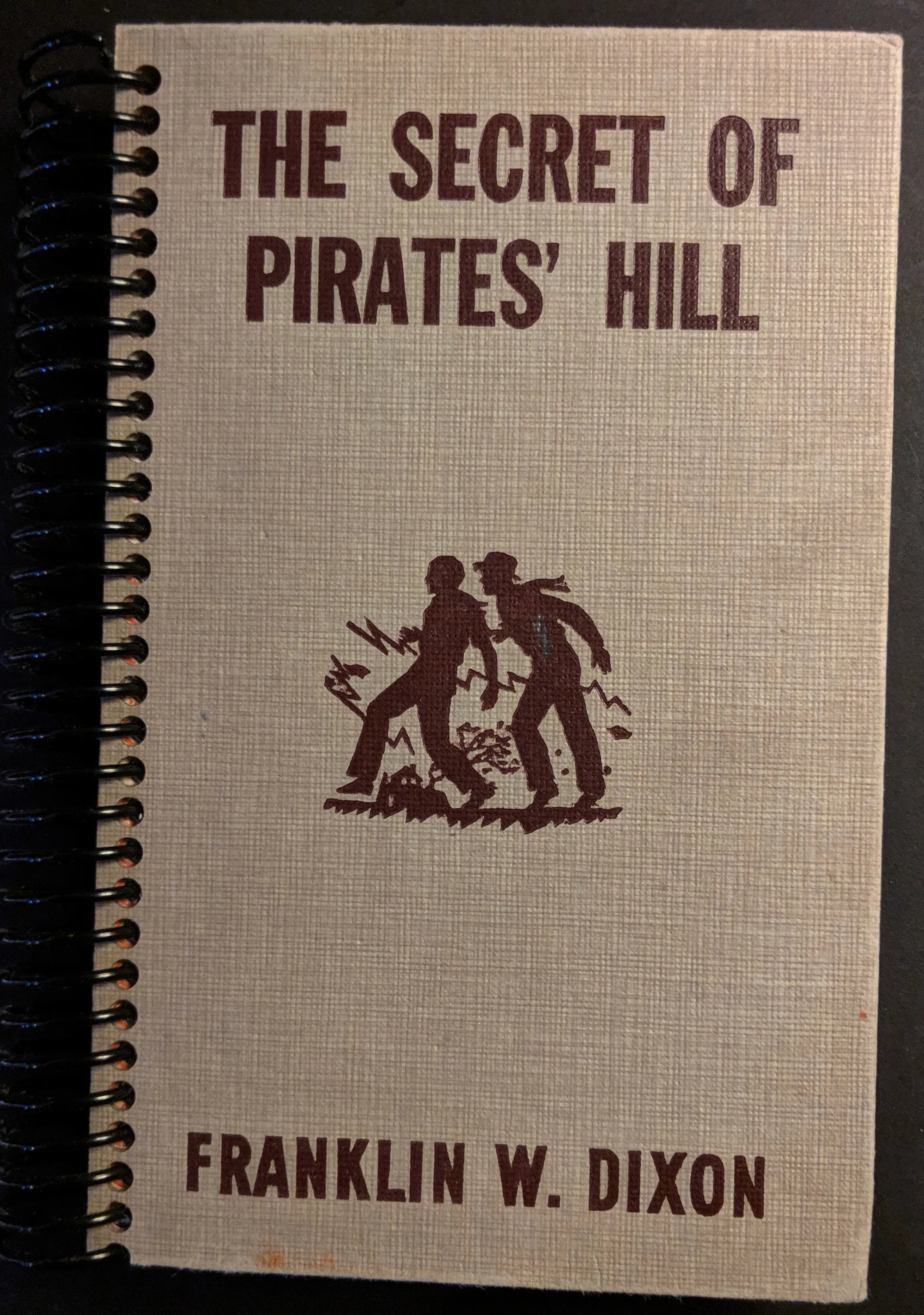 SECRET OF PIRATES HILL.jpg