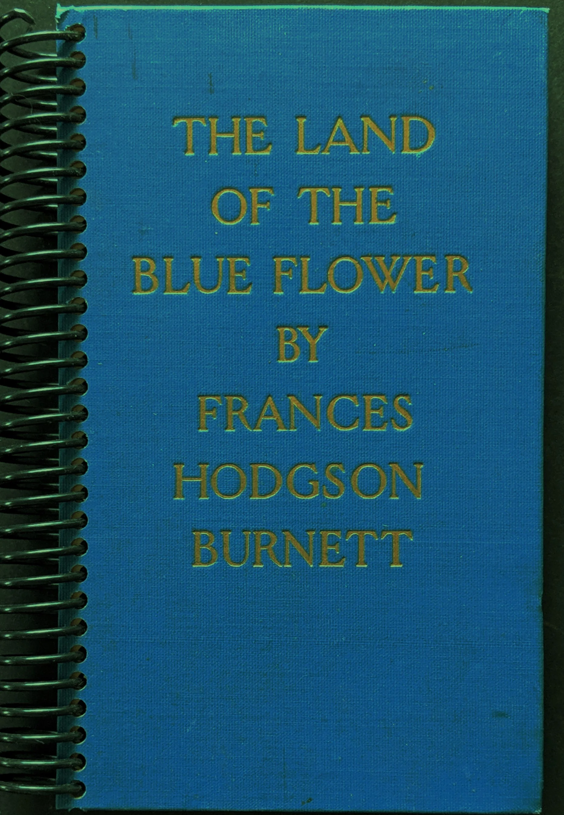 LandoftheBlue.jpg