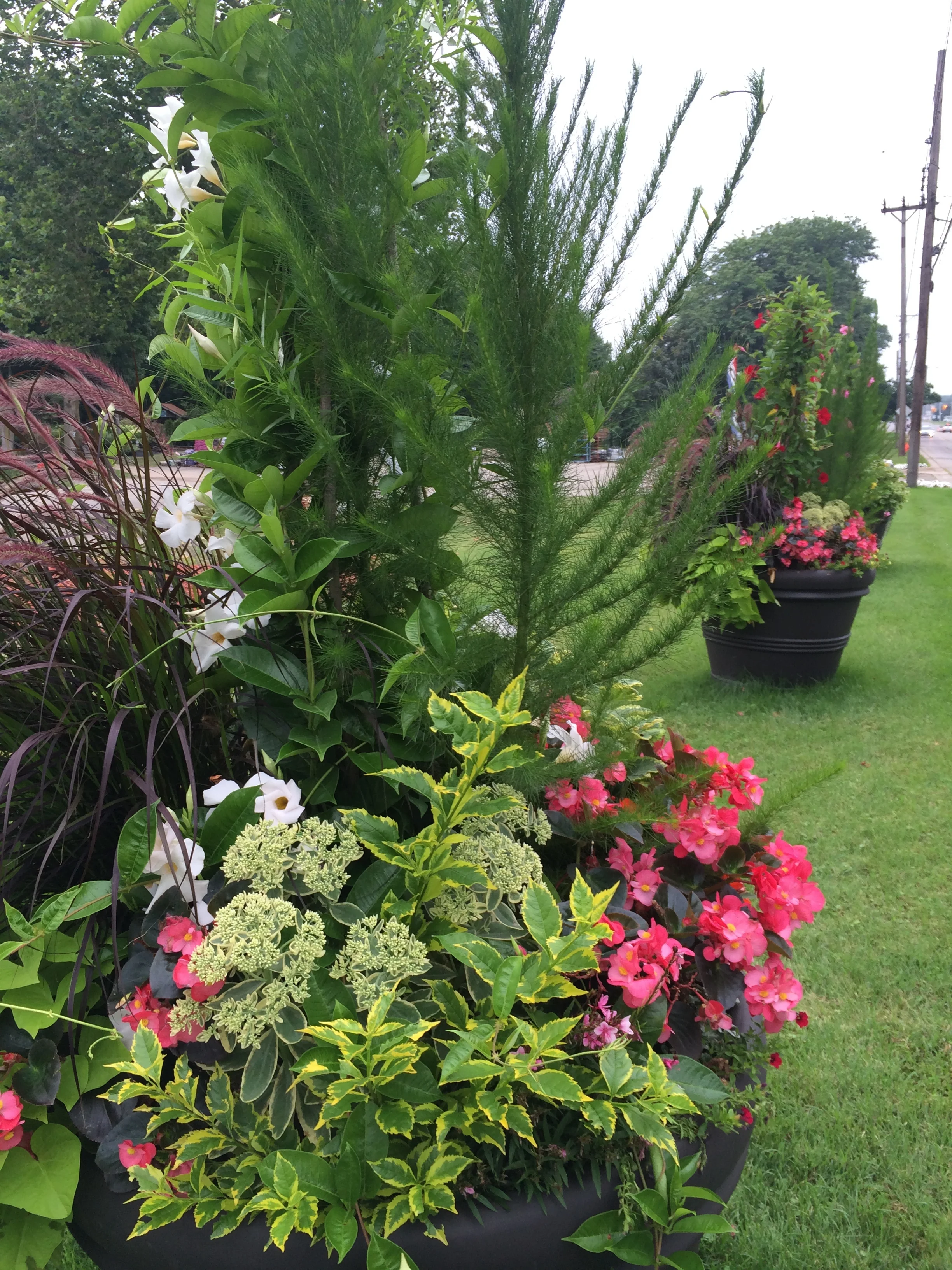 Custom Potting Service