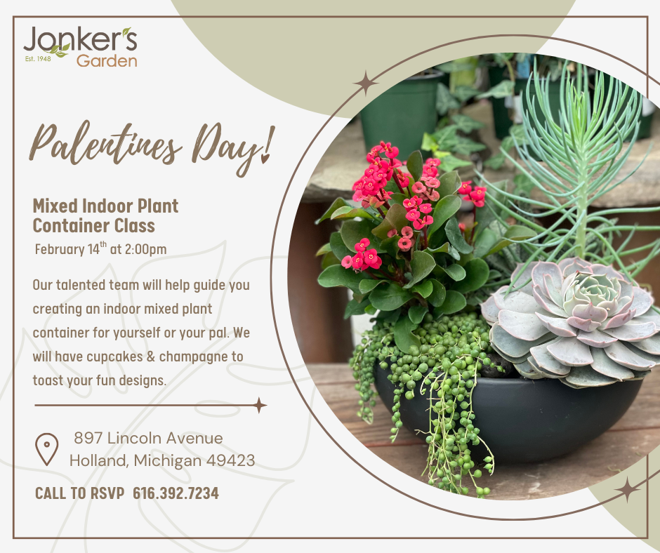 Indoor Mixed Pot Planter Class