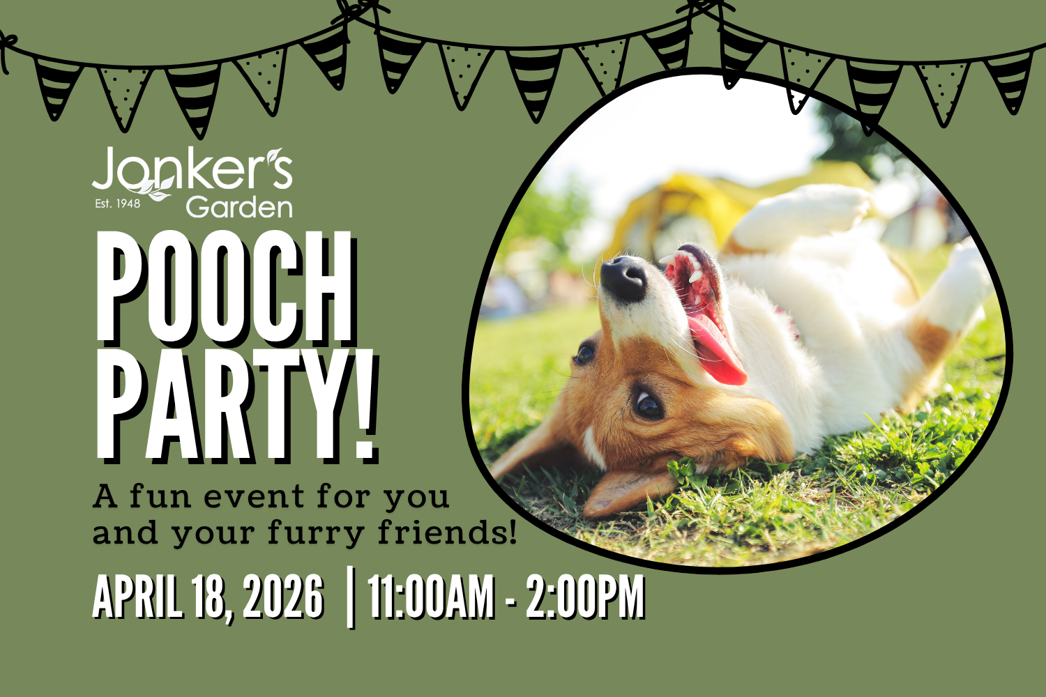 Pooch Party