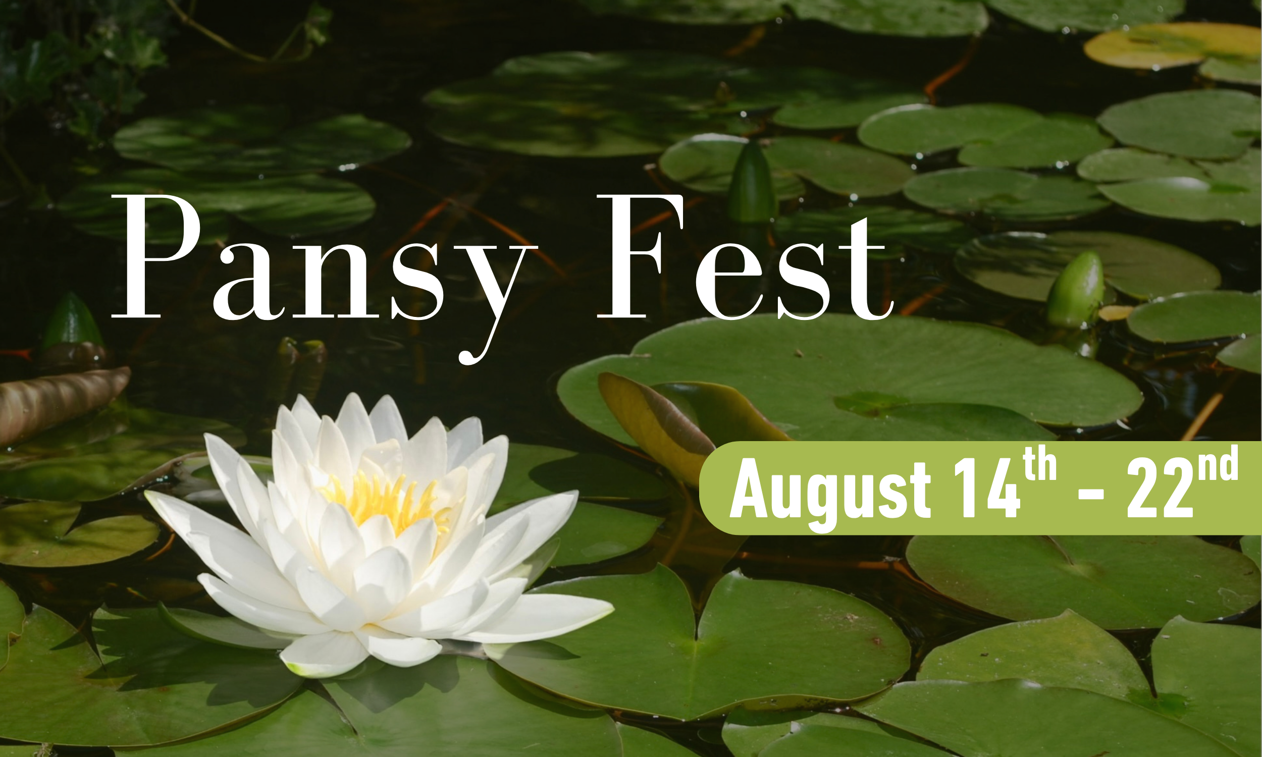 Pansy Fest Header (2).png