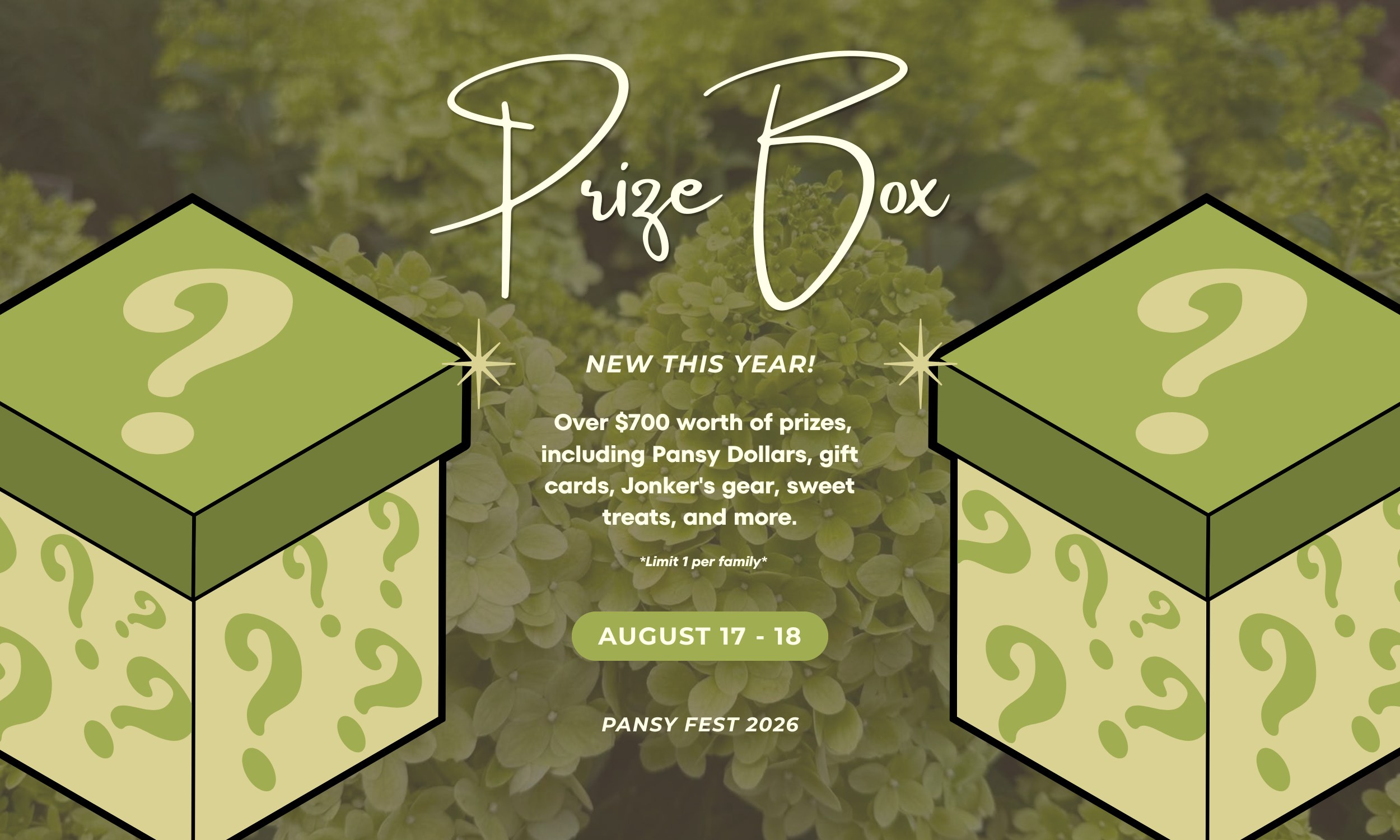 Surprise Box Drawings | Pansy Fest 2026