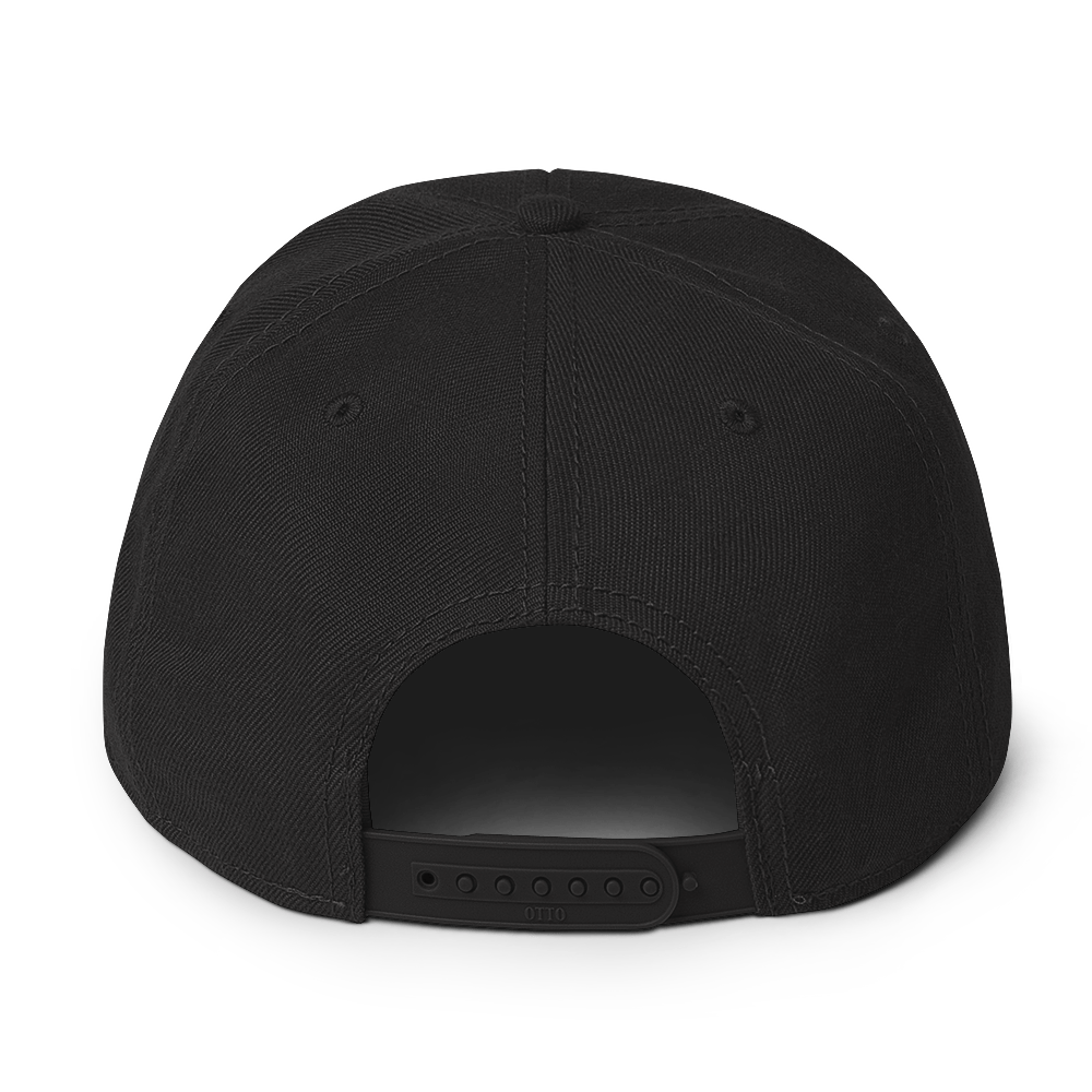 Turning Leaf Church - Sports - Snapback Hat
