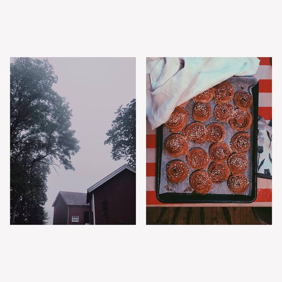 Baking cinnamon buns 